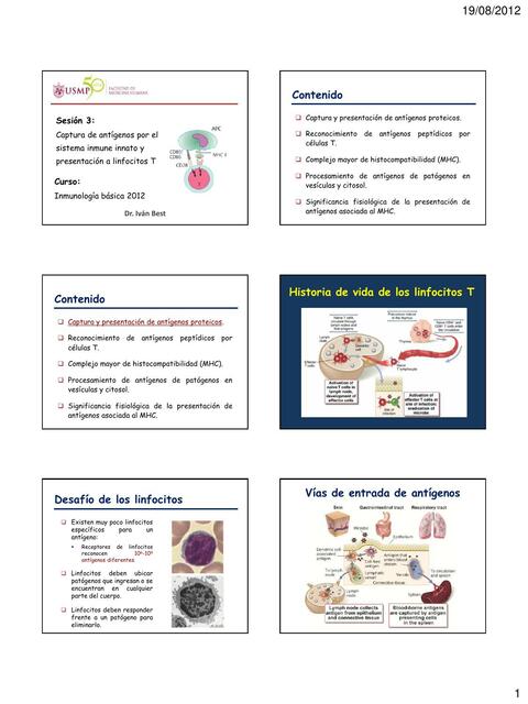 Captura de antígenos por el sistema