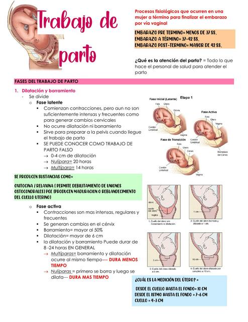 Trabajo De Parto Valentina Udocz 7088