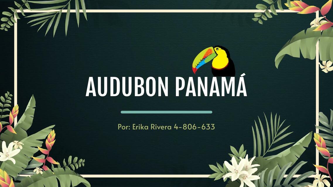 Audubon Panamá