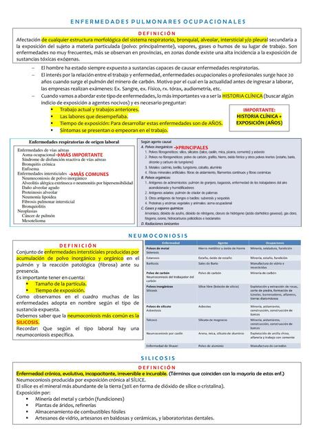 Enfermedades Pulmonares Ocupacionales