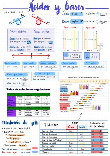 Ácidos y bases