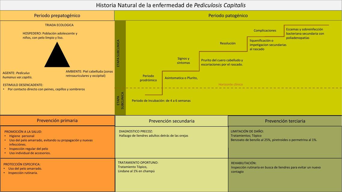 Historia Natural de la Enfermedad de Pediculosis