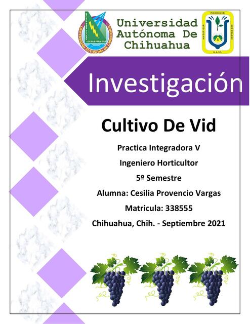 Investigación vid