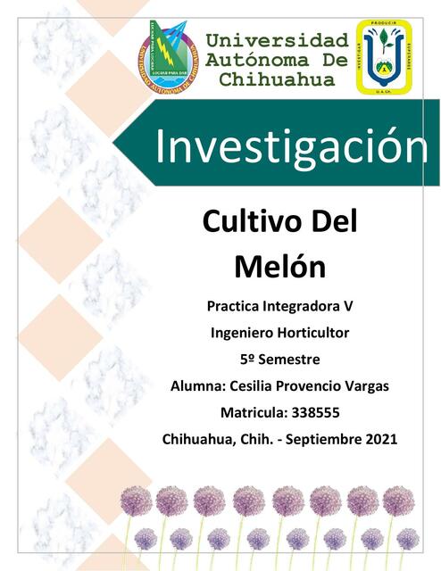 Investigación Melón 