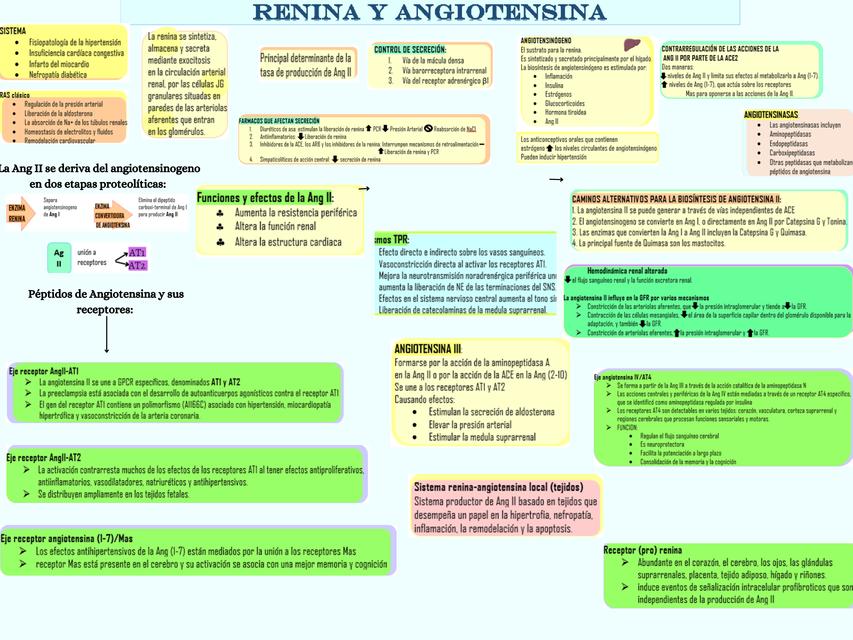 Sistema Renina-Angiotensina 