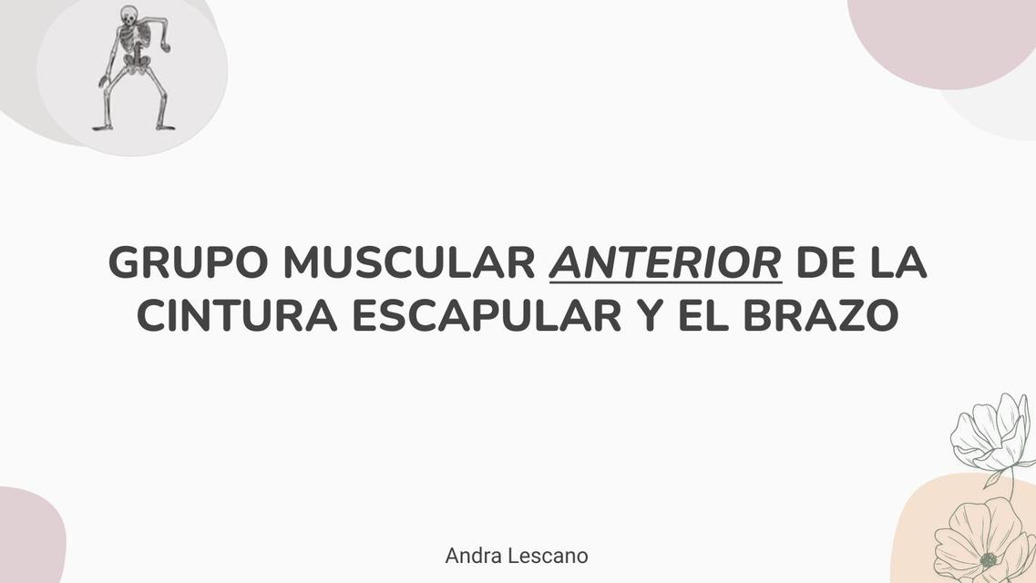 Grupo Muscular Anterior del Brazo y Hombro