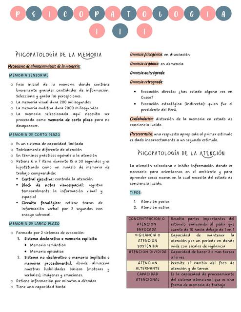 Psicopatologia III