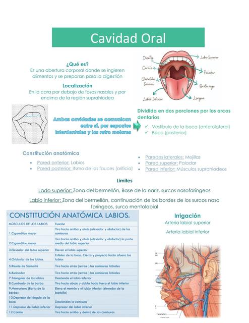 Cavidad Oral