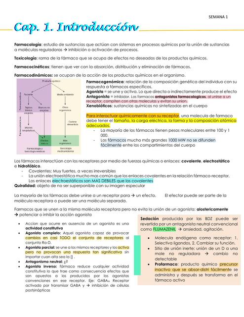 Introducción Farmacología 