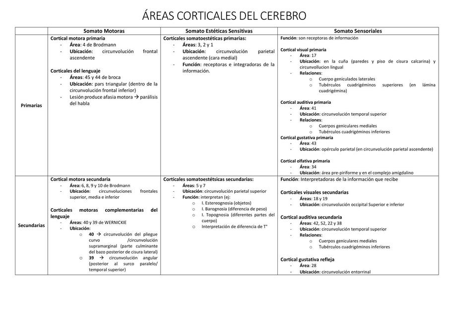 Áreas Corticales | Nanet Jordan | UDocz