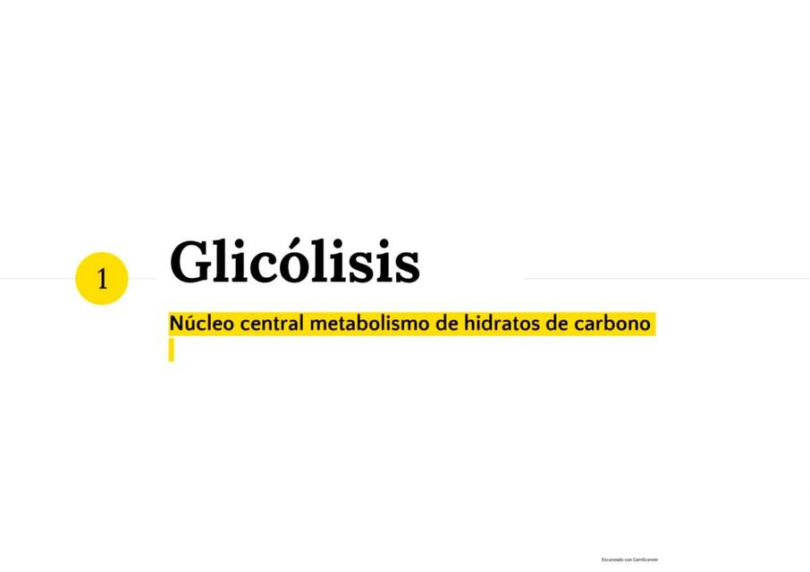 Glicólisis y Ciclo de Krebs