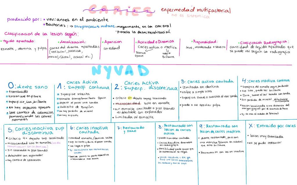 Caries y Nyvad