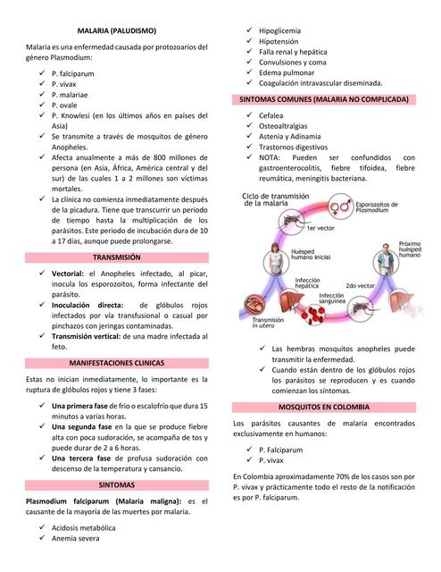 Malaria (Paludismo)