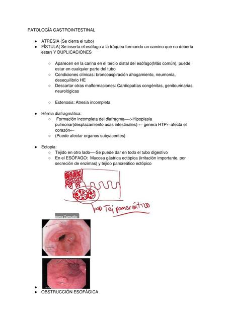 Patología del Sistema Digestivo 