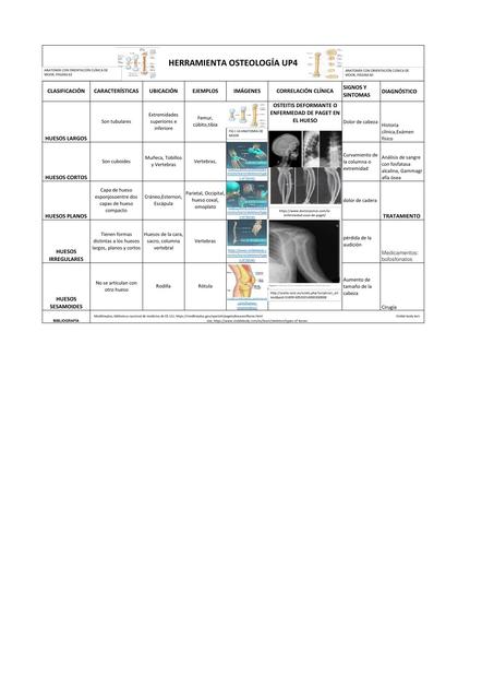 Osteología