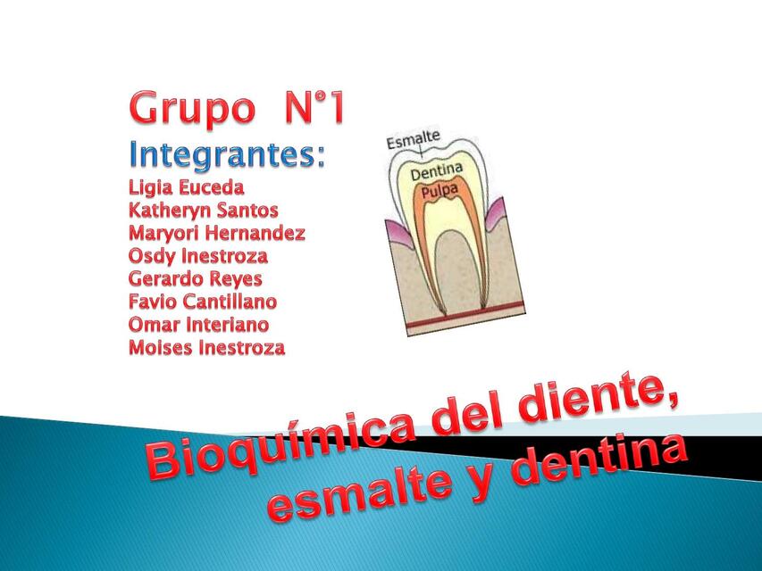 Bioquímica del Diente, Esmalte y Dentina