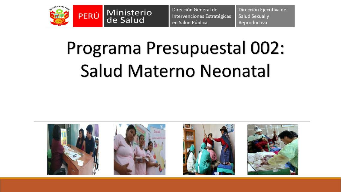 Programa Presupuestal Salud Materno Neonatal