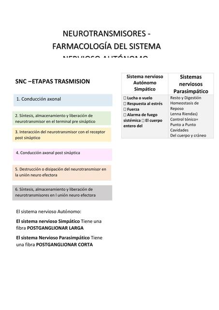 Sistema Nervioso Autónomo Simpático