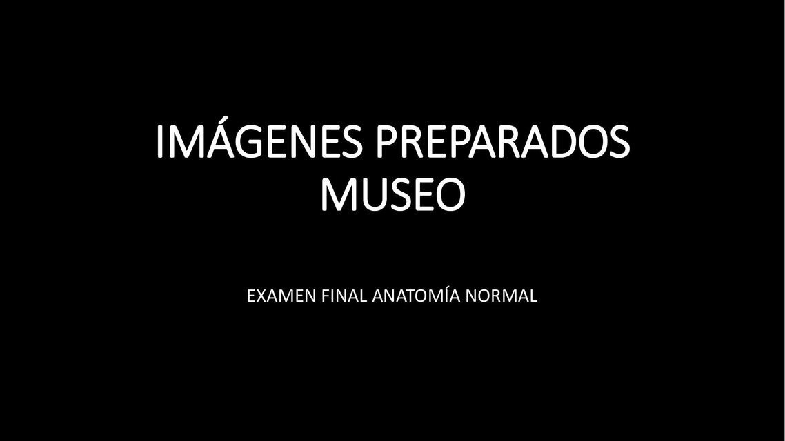 Imágenes de Anatomía