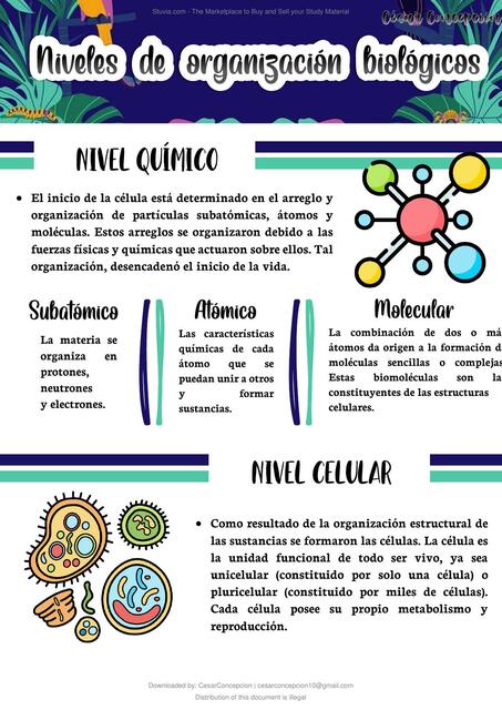 Niveles de Organización Biológica