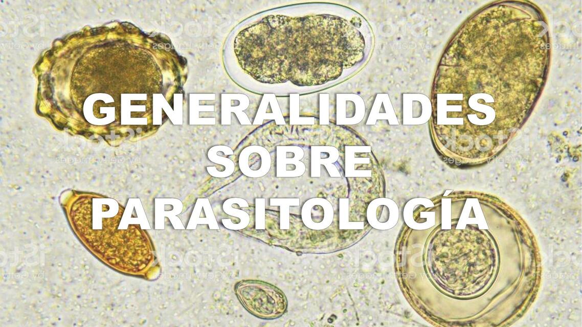 Generalidades Parasitología Milca Udocz 6550