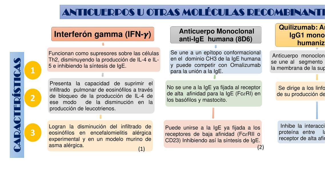 Anticuerpos u Otras Moléculas Recombinantes