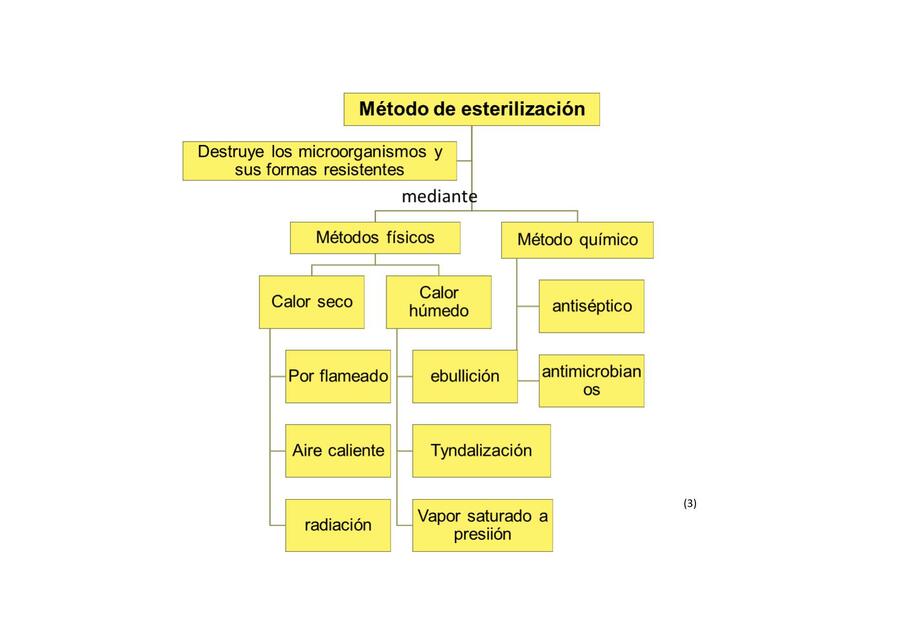 Esterilización 