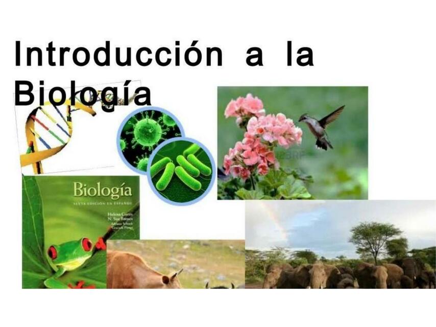 Introducción a la biología