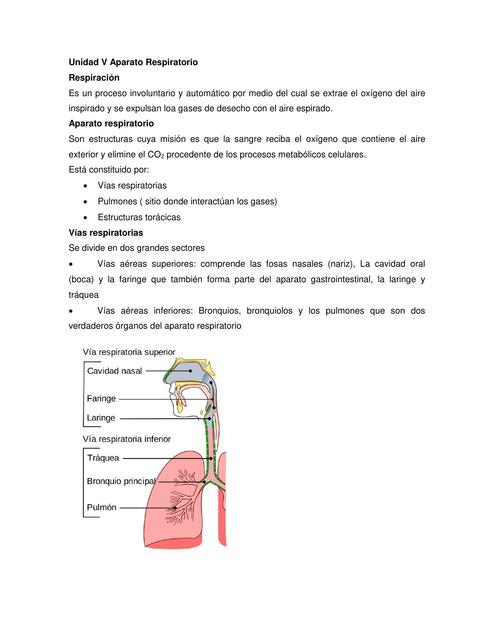 Aparato Respiratorio