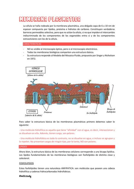 Membrana Plasmática 