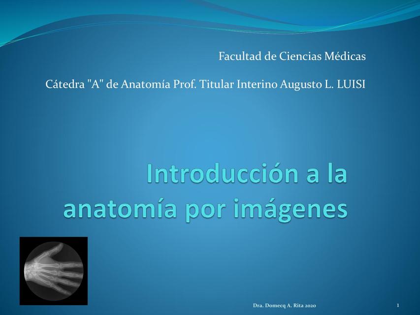 Introducción a la Anatomía por Imágenes