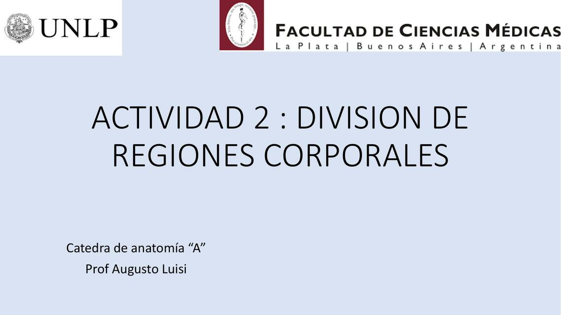 División de Regiones Corporales 