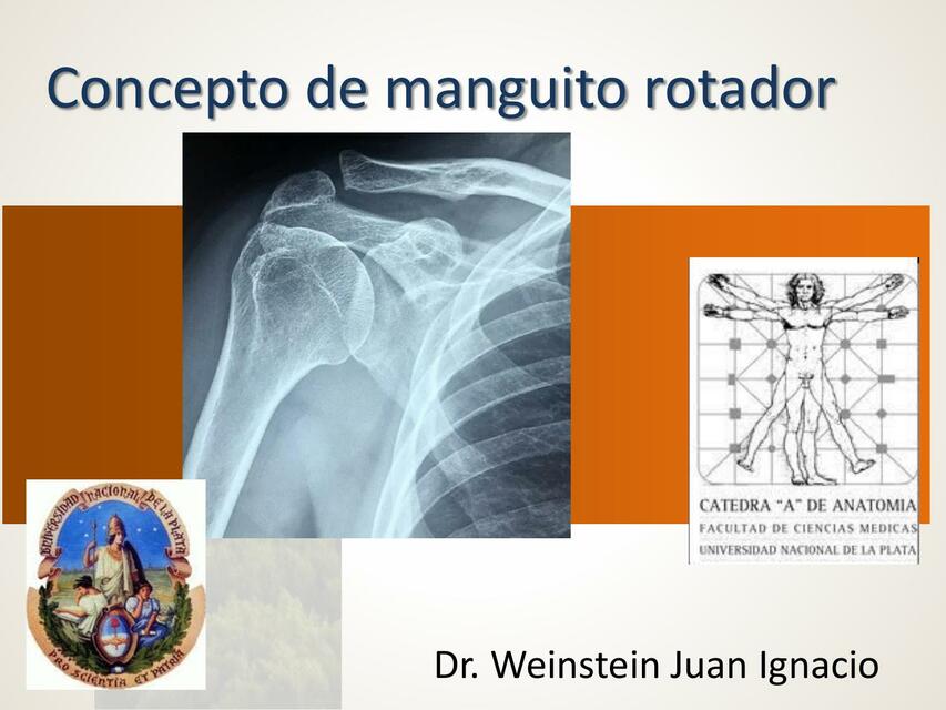 Concepto de Manguito Rotador 