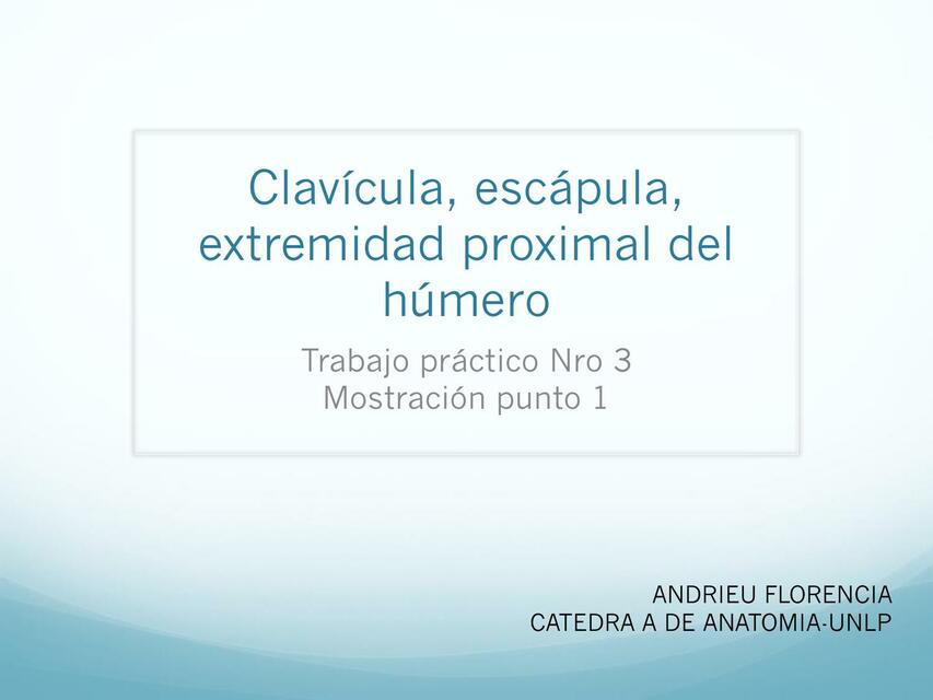 Clavícula, Escápula, Extremidad Proximal del Húmero 