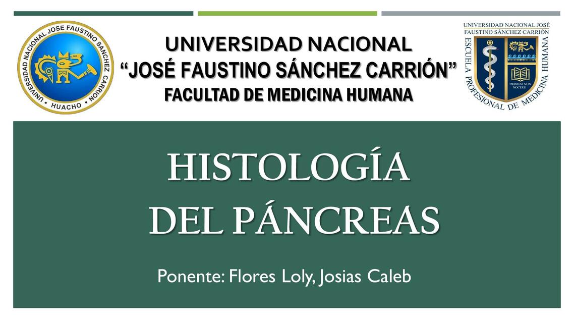 Histología del Páncreas