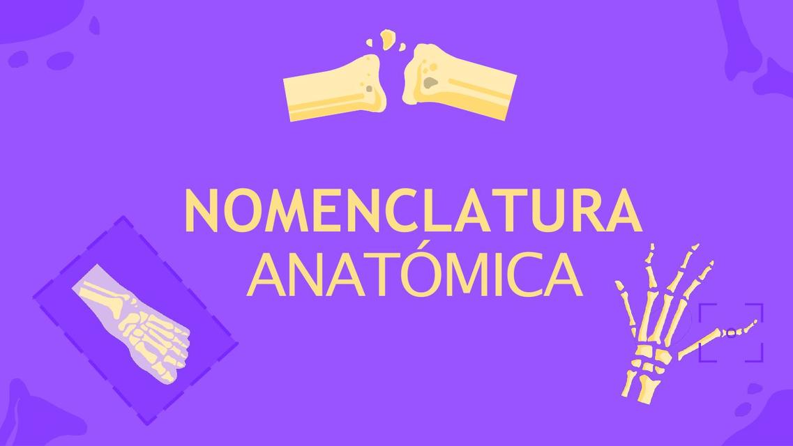 Nomenclatura Anatómica