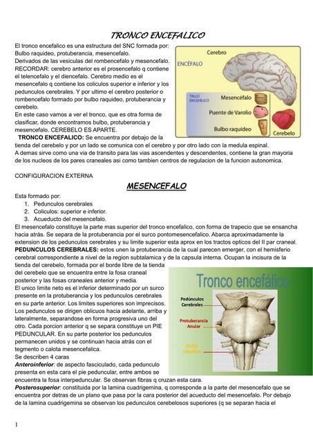 Tronco Encefálico 