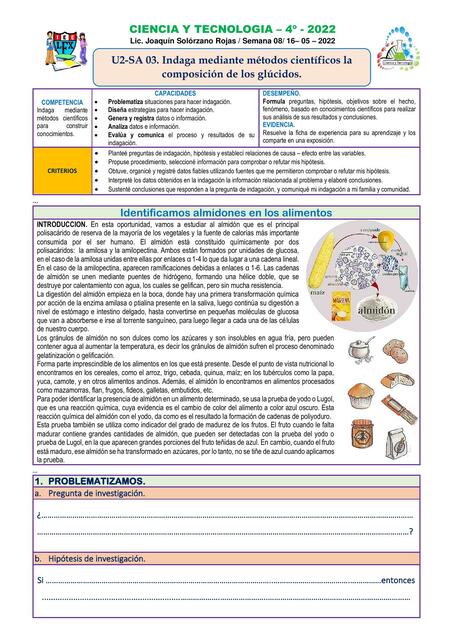 Indaga Mediante Métodos Científicos la Composición de los Glúcidos