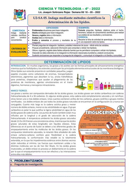 Indaga Mediante Métodos Científicos la Composición de los Lípidos