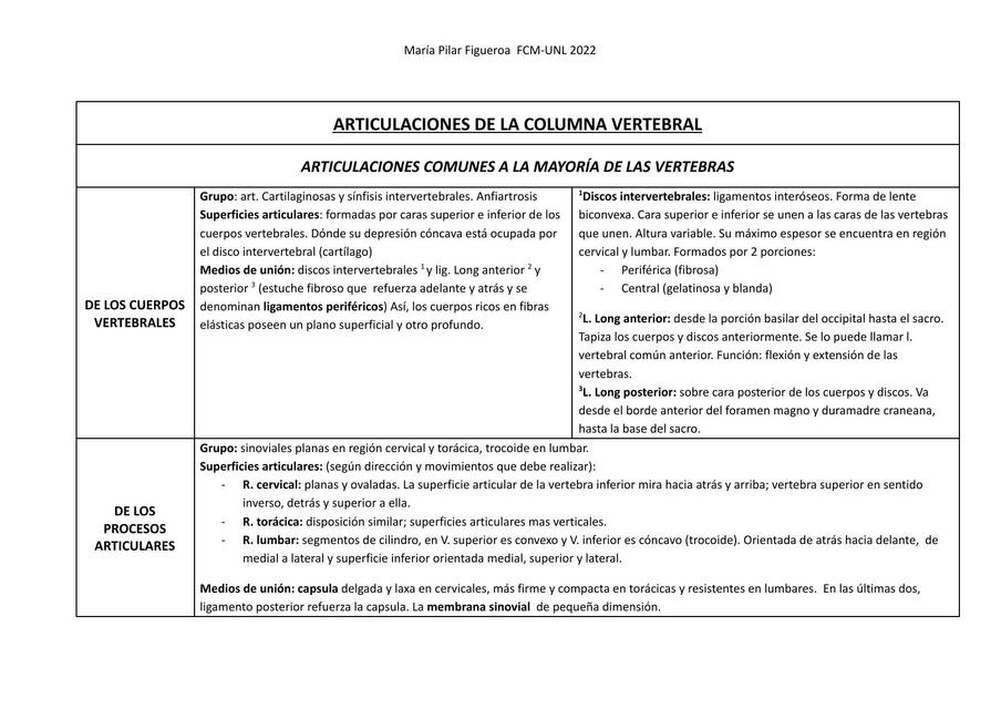 Articulaciones de la Columna Vertebral 