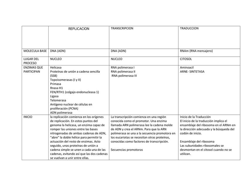 Replicación, Transcripción y Traducción