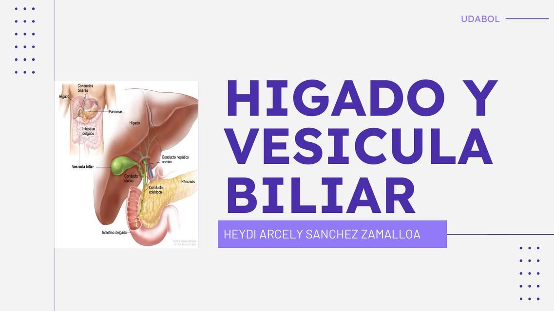 Hígado y Vesícula Biliar