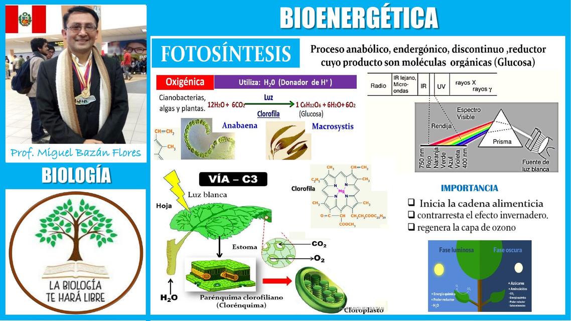 Bioenergética | Annie bennoda | uDocz