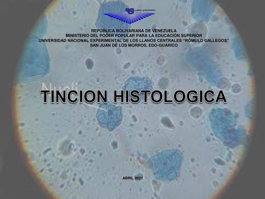 Tinción y Cortes Histológicos