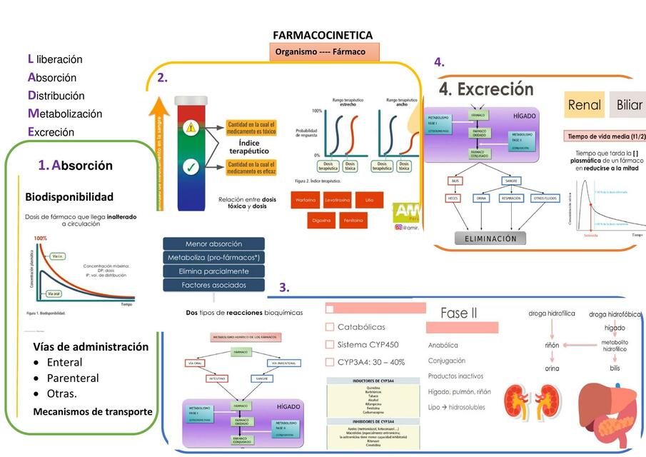 Farmacocinética