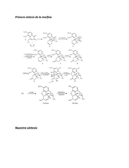 Sintesis de la Morfina 