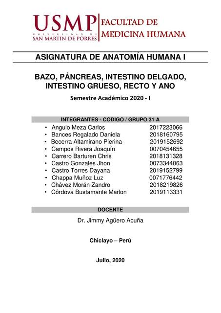 Anatomía I Tarea 12 Grupo 31A