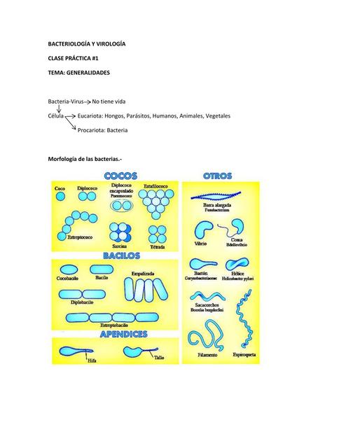 Prácticas de Bacteriología y Virología