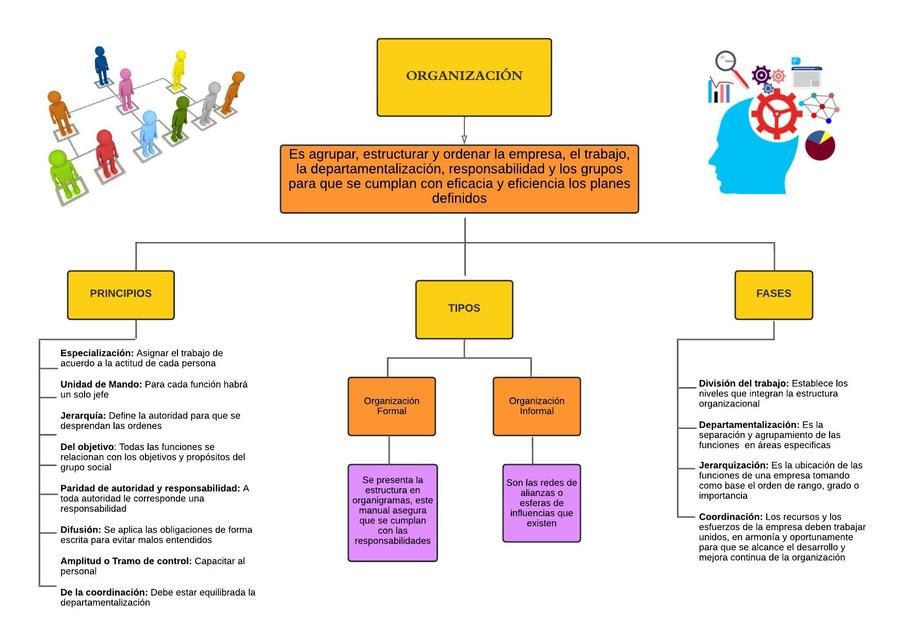 La Organización en el Proceso Administrativo