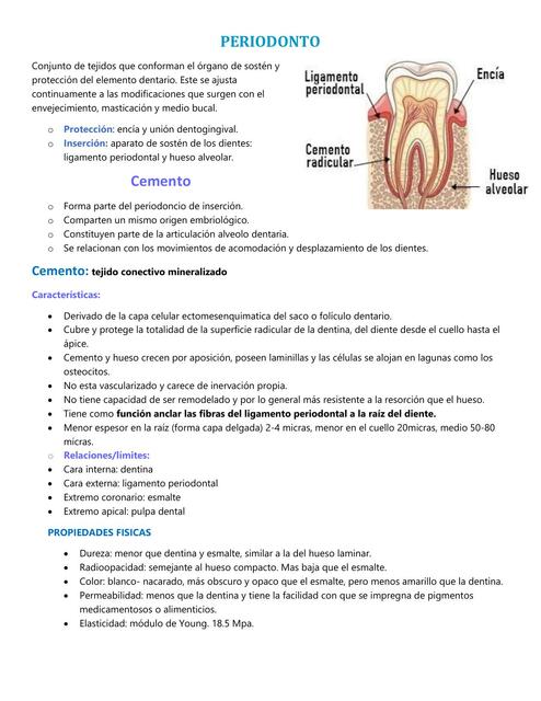 Periodonto 